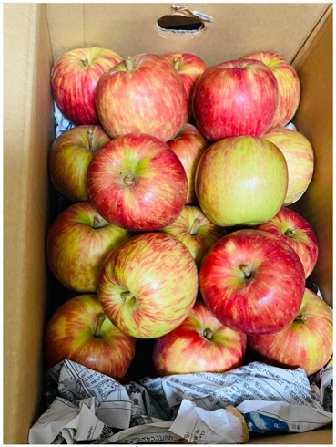 川崎麻世 自宅療養 新型コロナウイルス 配食サービス