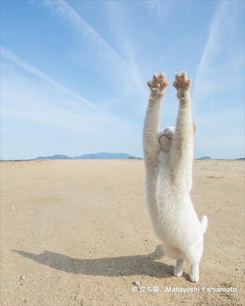 山本正義さん写真展