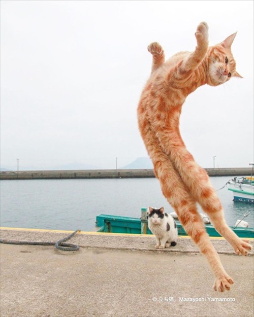 山本正義さん写真展