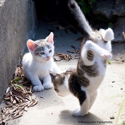 山本正義さん写真展