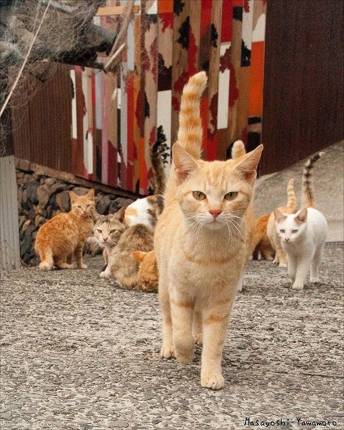 山本正義さん写真展