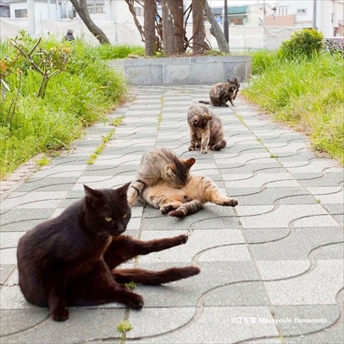 山本正義さん写真展