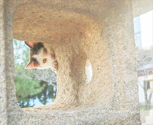 山本正義さん写真展