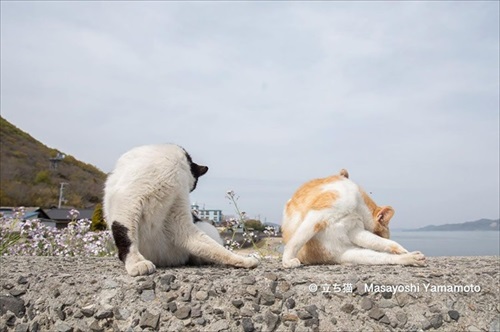 山本正義さん写真展