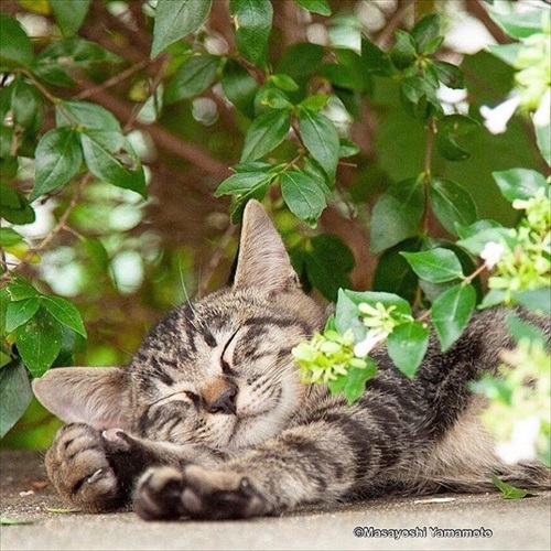 山本正義さん写真展