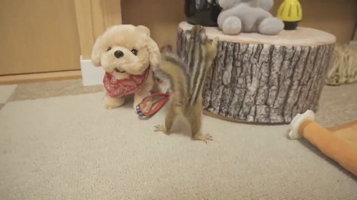 わんこのようにシッポふりふりするリトナくん