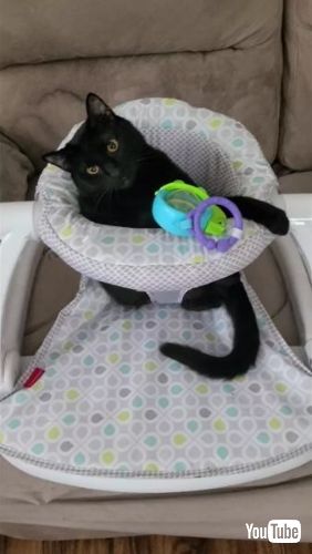  Playing in Baby Chair