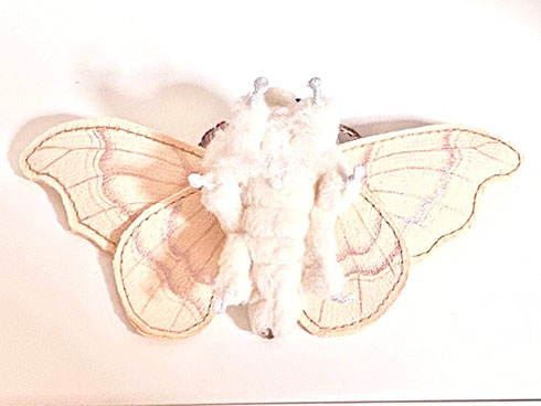 カイコガのぬいぐるみおなか