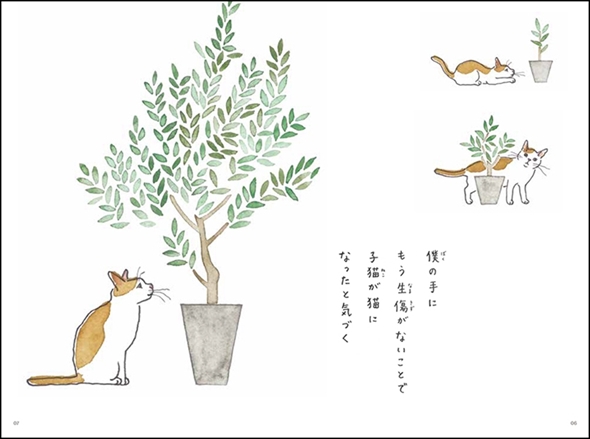これから猫を飼う人に伝えたい11のこと