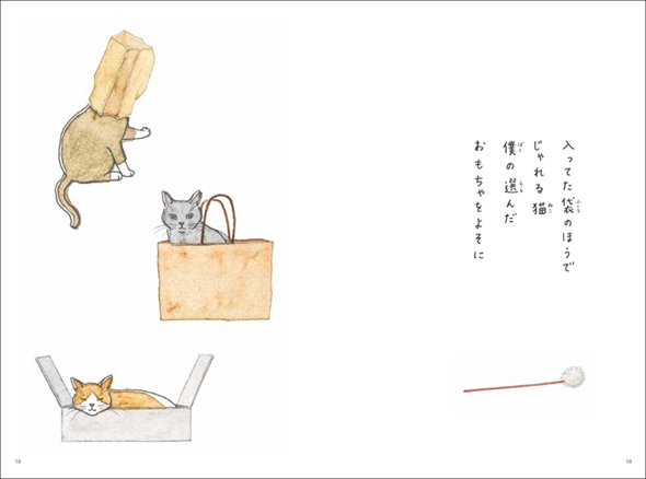 これから猫を飼う人に伝えたい11のこと