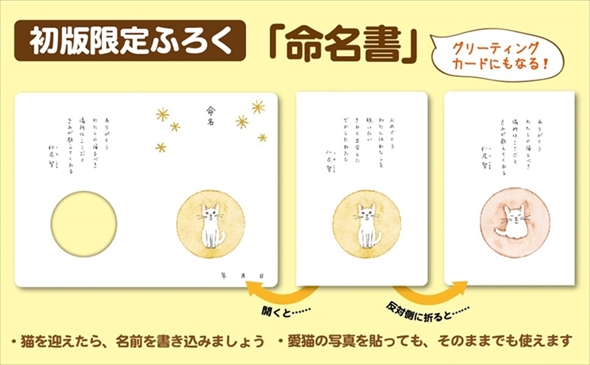 これから猫を飼う人に伝えたい11のこと