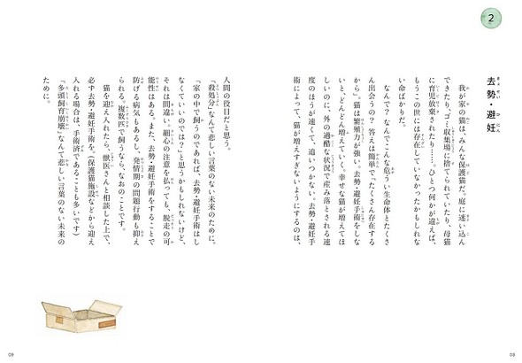 これから猫を飼う人に伝えたい11のこと