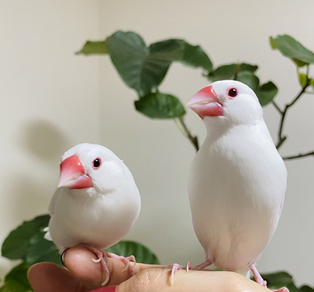 うどんさんとおでんさん