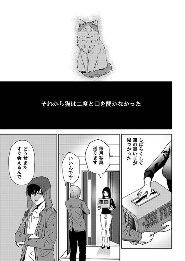 殺人事件の唯一の目撃者は猫だった話 漫画