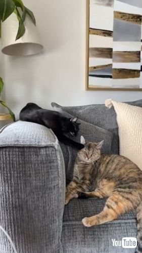  Maxie Bothers Bubble