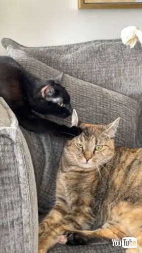  Playing in Baby Chair