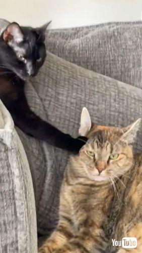  Playing in Baby Chair