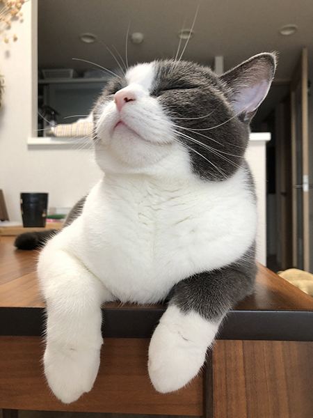 満足げなつぐまるくん