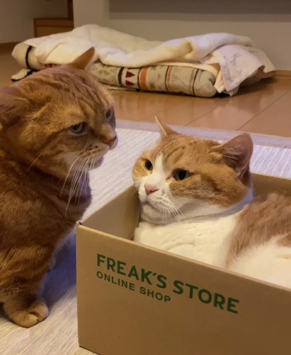 「くちゃいにゃ」