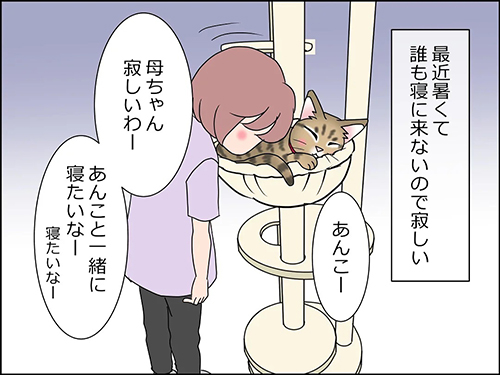 あんこが来てくれた1