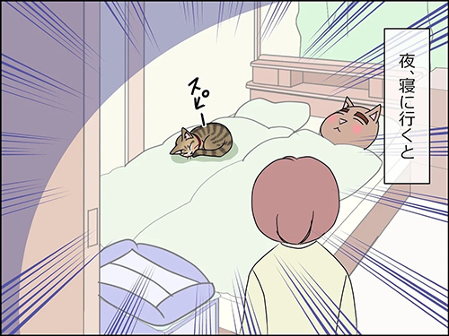 あんこが来てくれた2
