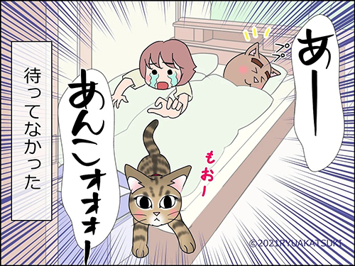 あんこが来てくれた4