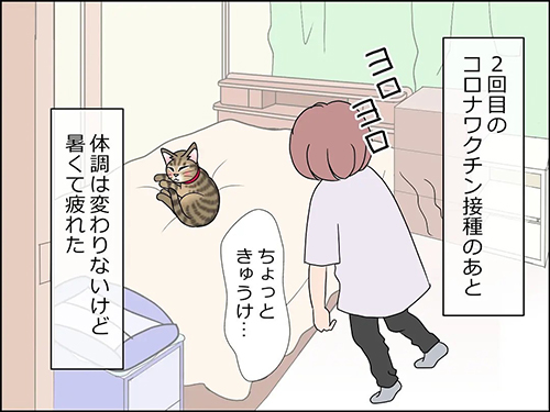 猫の癒やし1