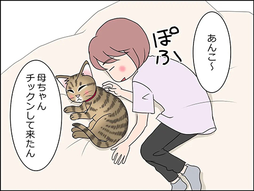 猫の癒やし2