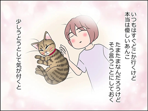 猫の癒やし3