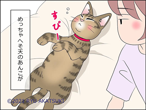 猫の癒やし4