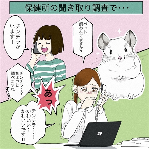 チンチラ