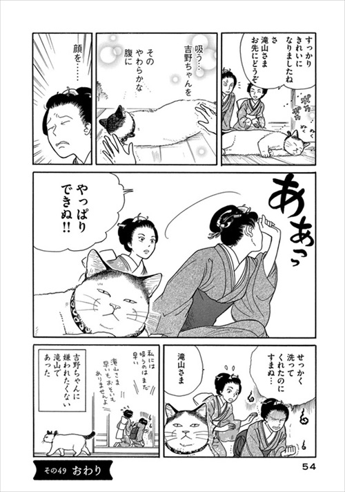 猫奥新刊