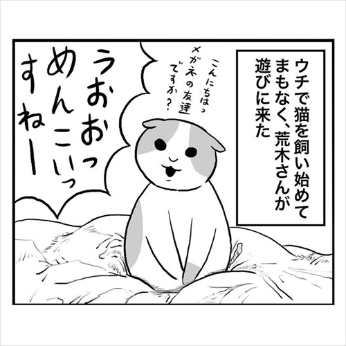 猫にモテる人の謎