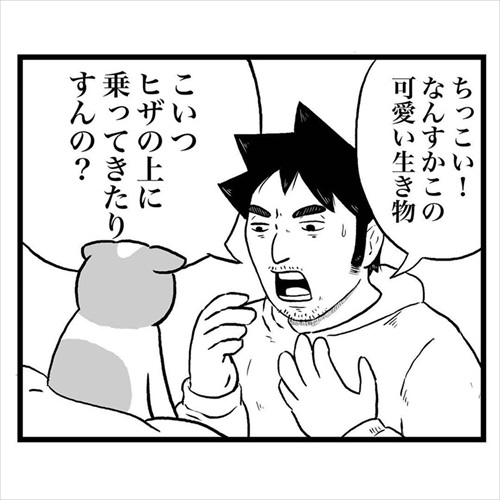 猫にモテる人の謎