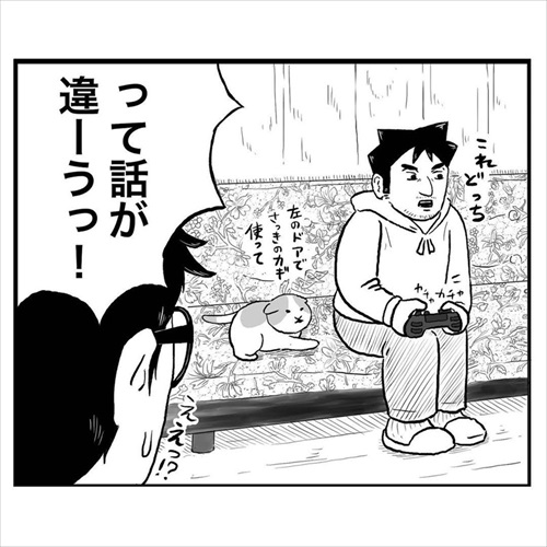 猫にモテる人の謎