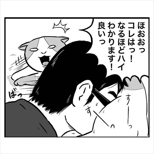 猫にモテる人の謎