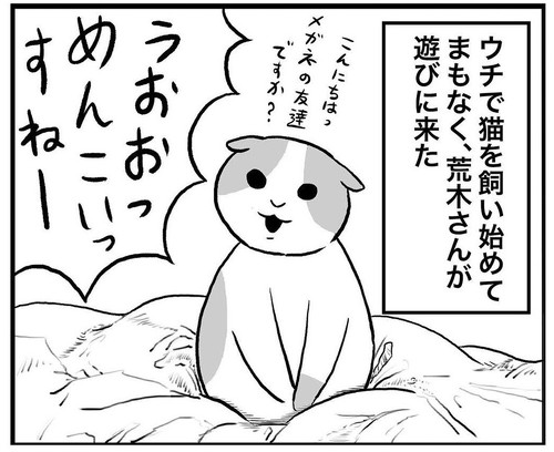 猫にモテる人の謎
