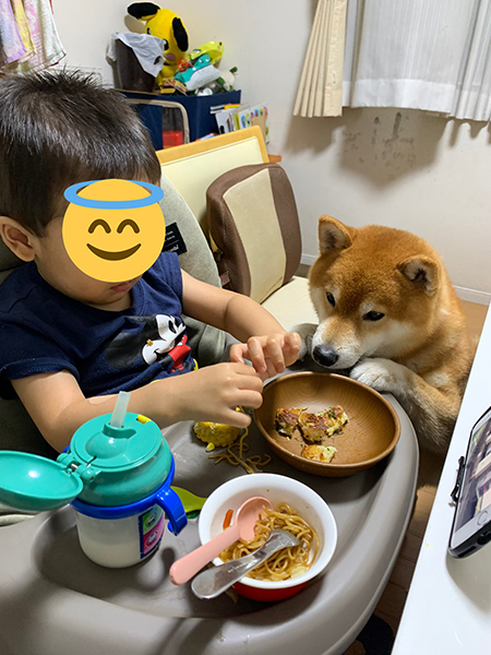 お好み焼きが気になるこたろうくん