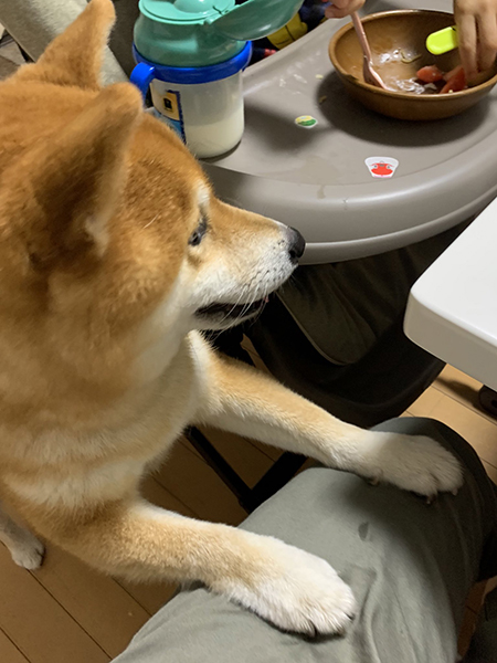 小太郎くんアップ