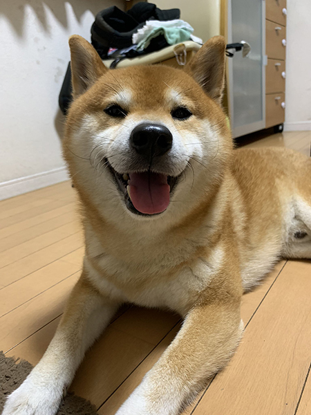 にっこり小太郎くん