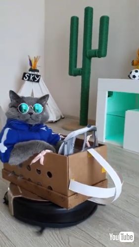  Rides on Vacuum Helicopter