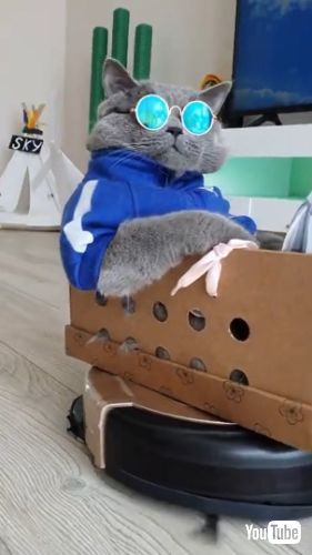  Rides on Vacuum Helicopter