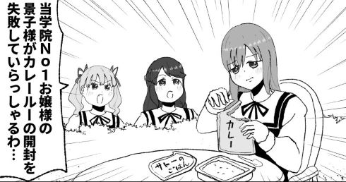 お嬢様 レトルトカレー パウチ 開封 失敗 漫画 twitter