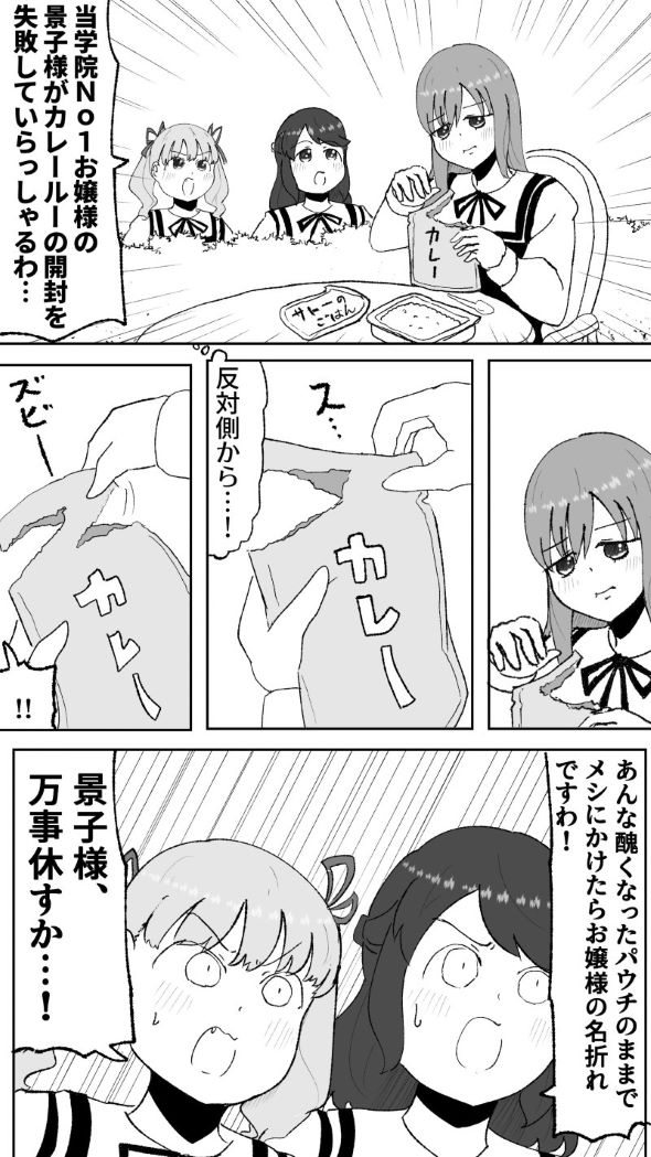 お嬢様 レトルトカレー パウチ 開封 失敗 漫画 twitter