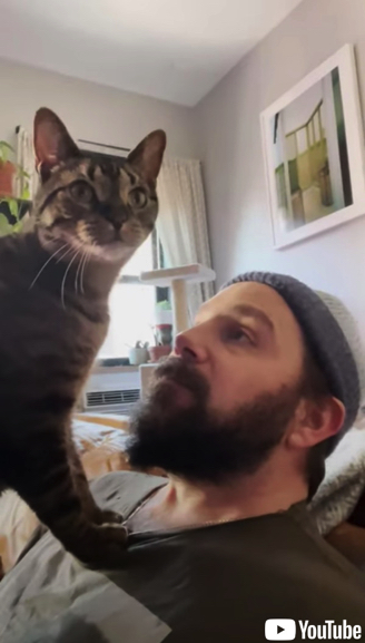 飼い主を独り占めしたかった猫ちゃん