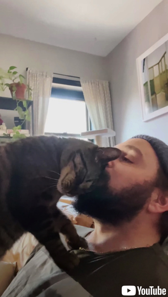 飼い主を独り占めしたかった猫ちゃん