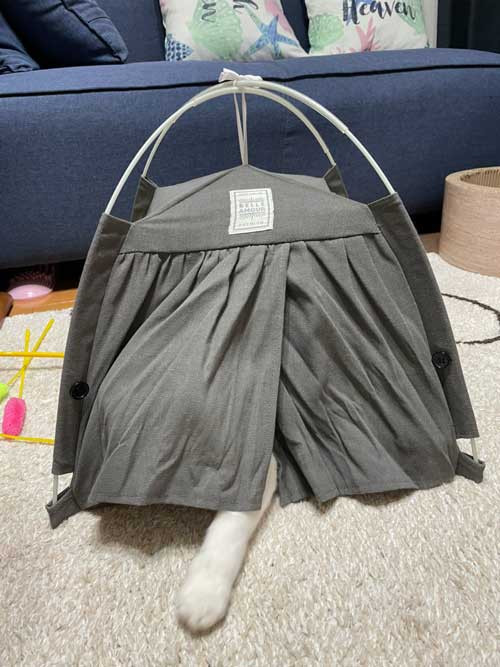 猫 ダイソー テント ペットハウス お気に入り