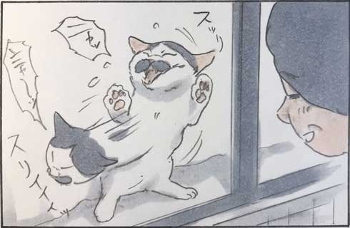 猫 漫画 拾い猫のモチャ 窓ごしの愛情 ツンデレ