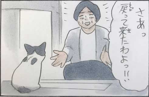 猫 漫画 拾い猫のモチャ 窓ごしの愛情 ツンデレ