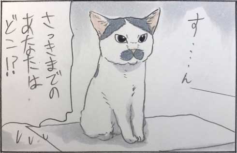 猫 漫画 拾い猫のモチャ 窓ごしの愛情 ツンデレ